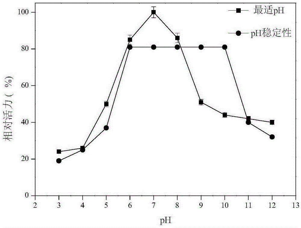 Xylanase, gene coding same and application of xylanase to waste paper deinking