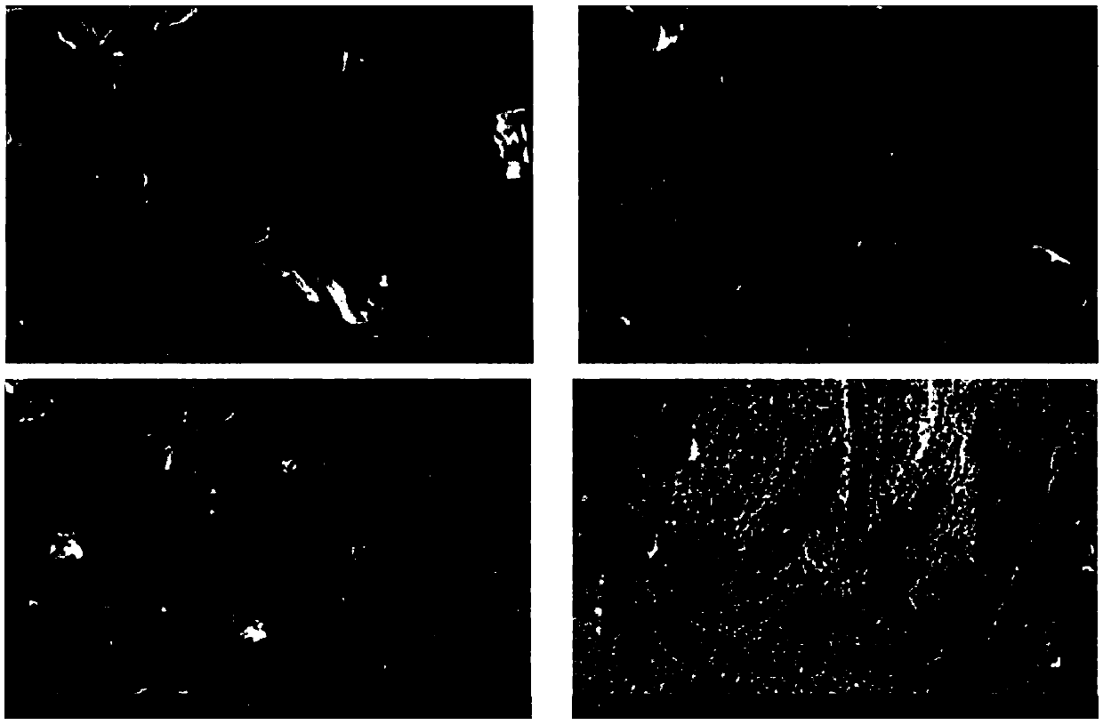 Nano-porous Fe-P-C material and preparation method thereof, and applications in hydrogen production through water electrolysis