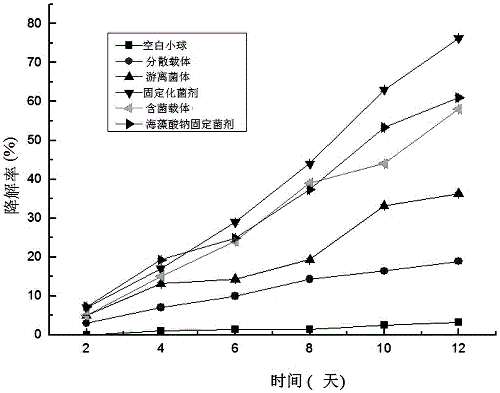 Sodium alginate compound immobilized microbial agent as well as preparation method and application thereof