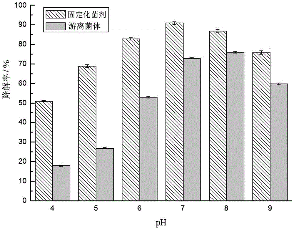 Sodium alginate compound immobilized microbial agent as well as preparation method and application thereof