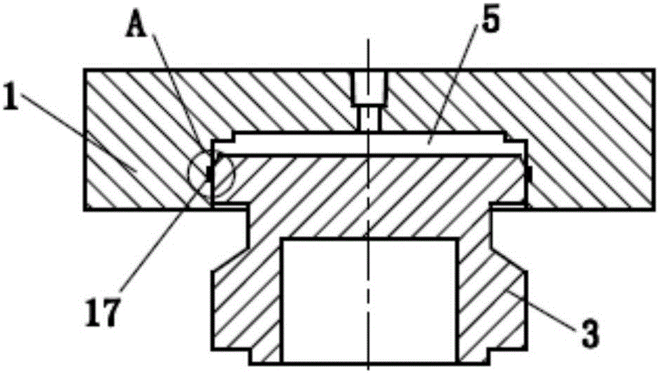 Device and method for mounting plunger pump