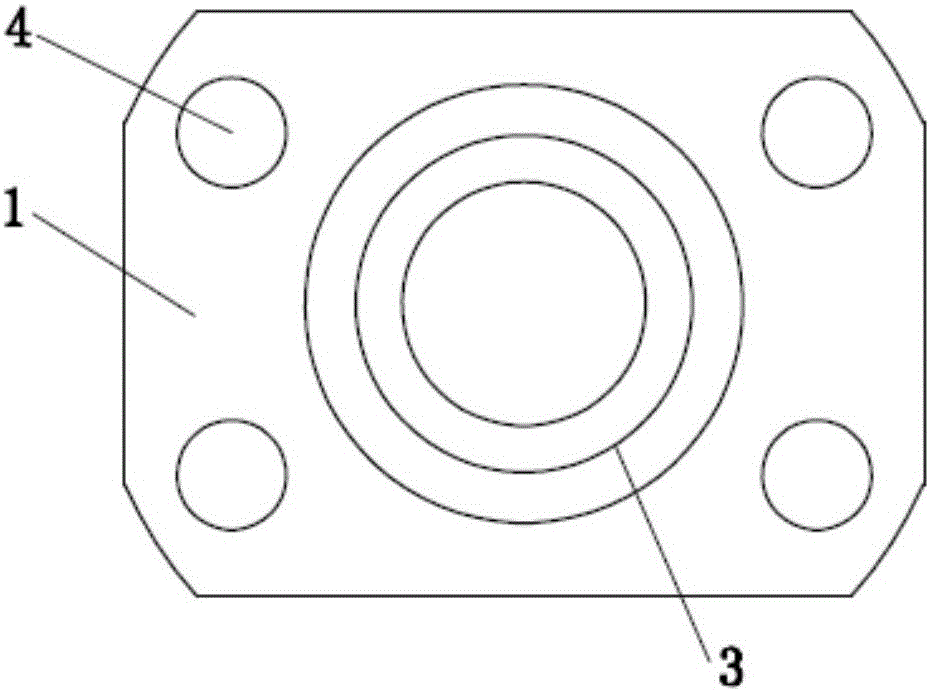 Device and method for mounting plunger pump