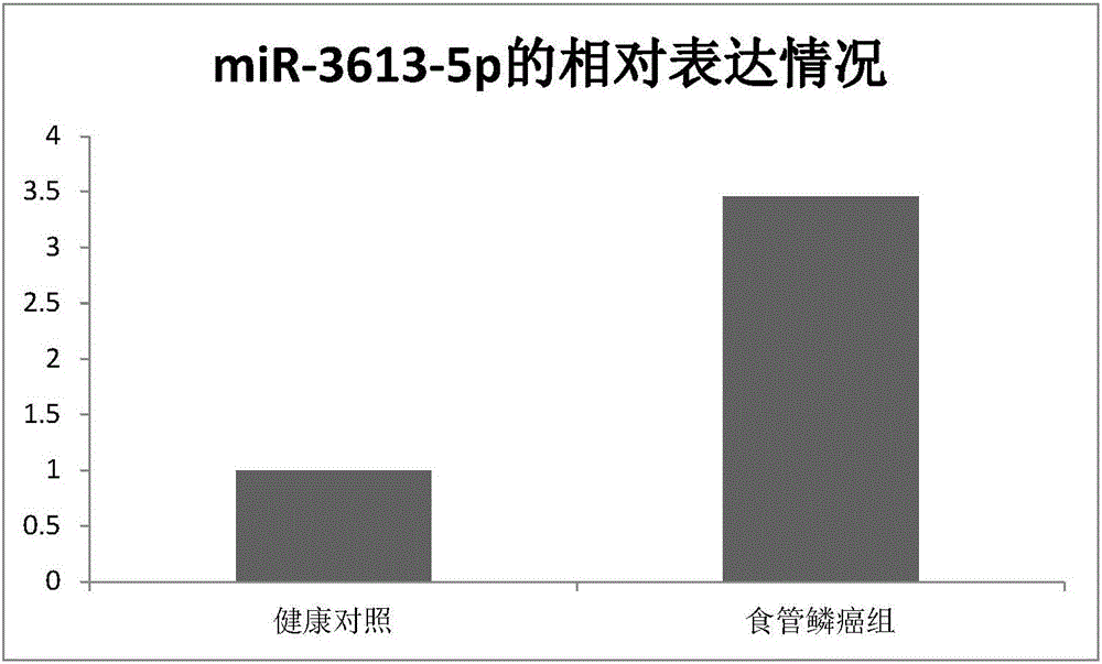 Novel application of mir-3613 and mature miRNA thereof