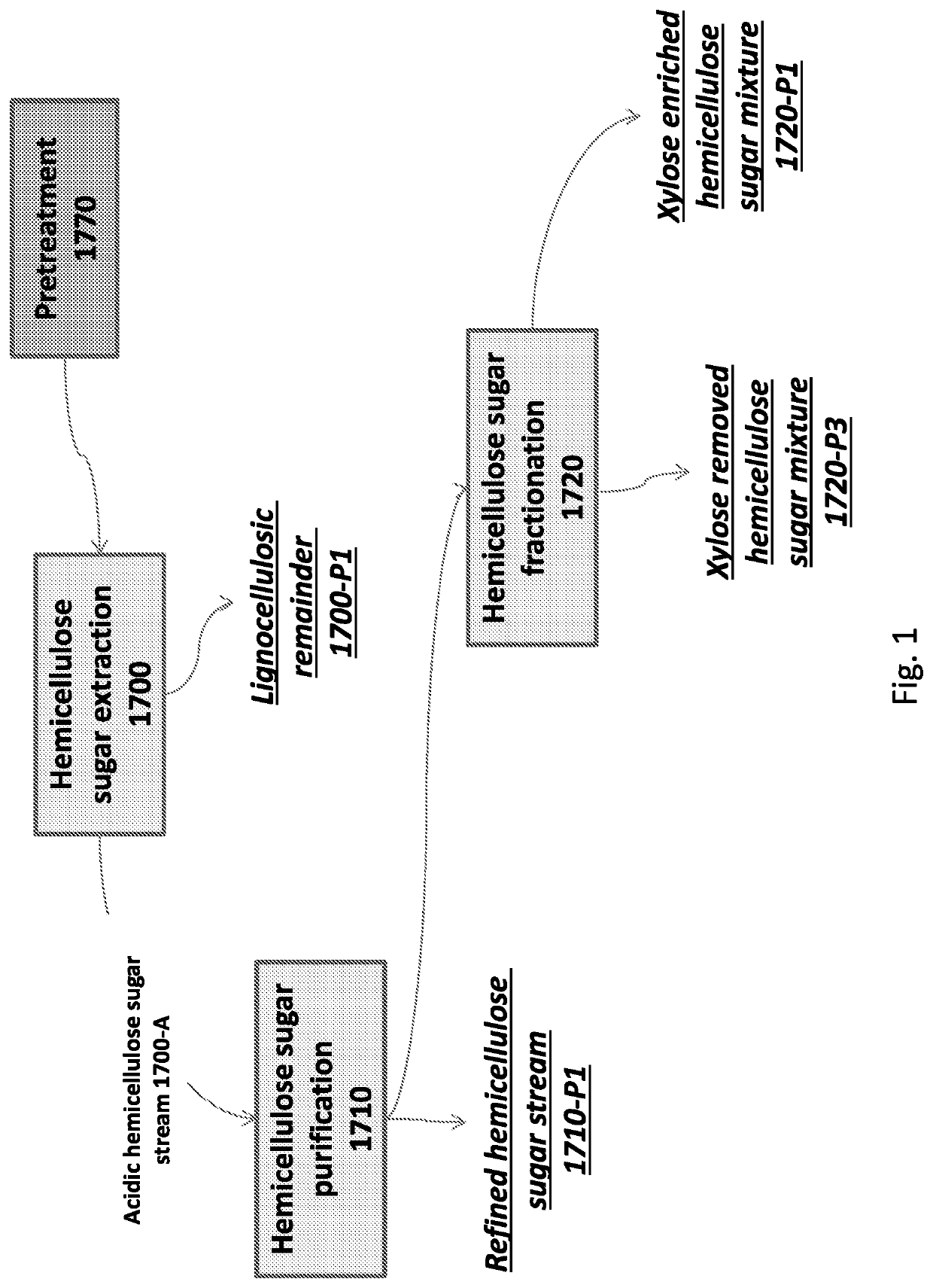 Method for producing xylitol by fermentation