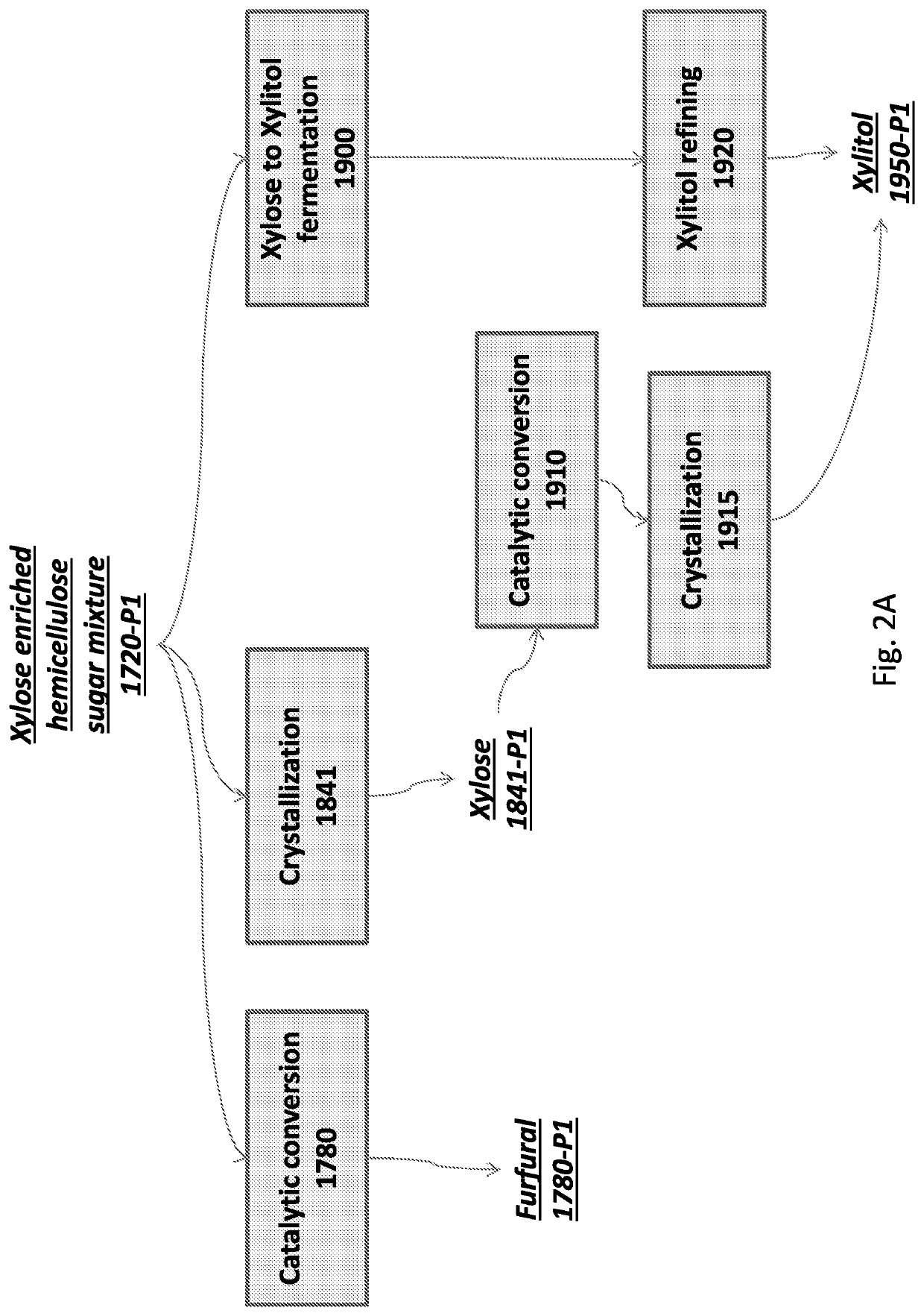 Method for producing xylitol by fermentation