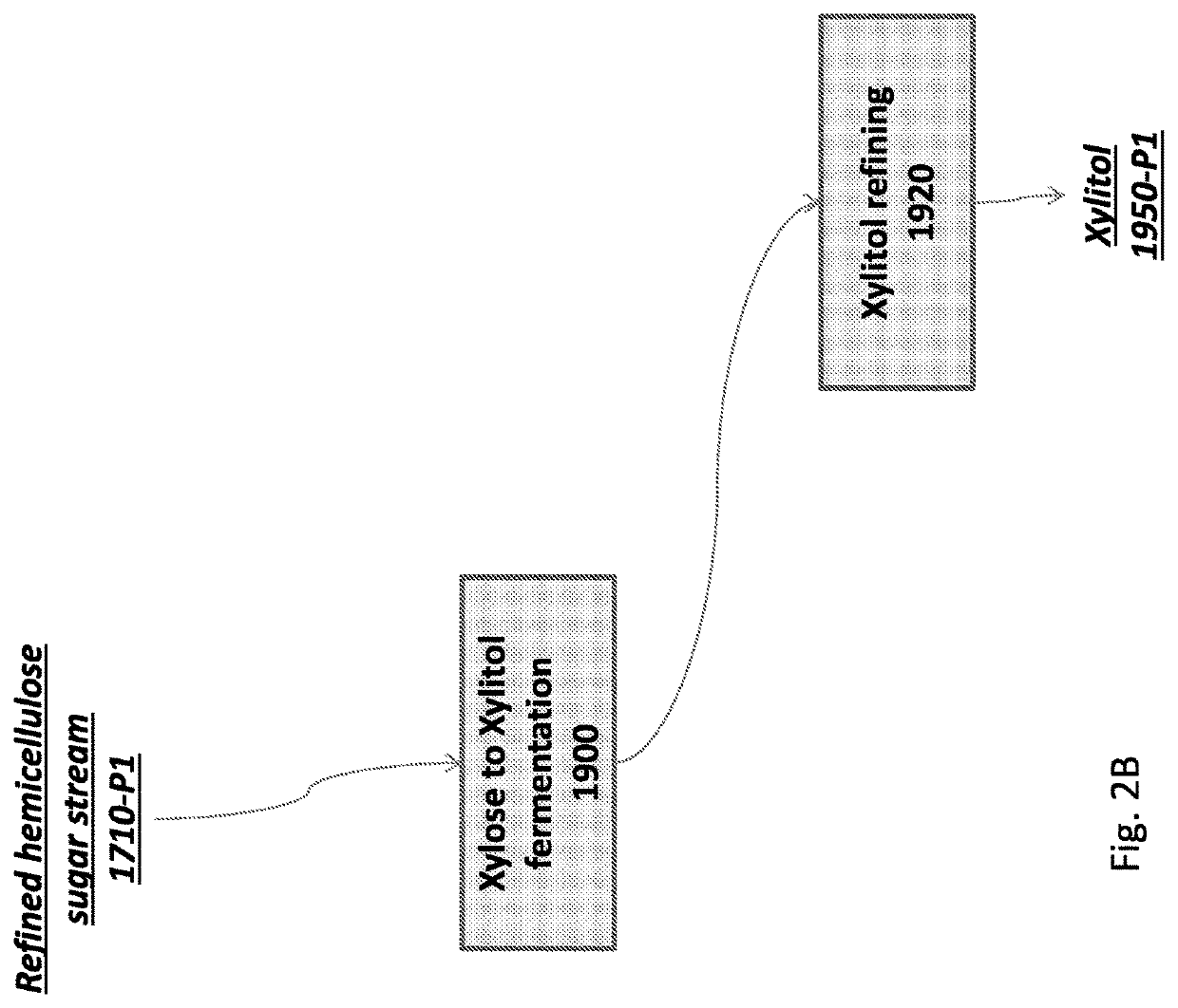 Method for producing xylitol by fermentation