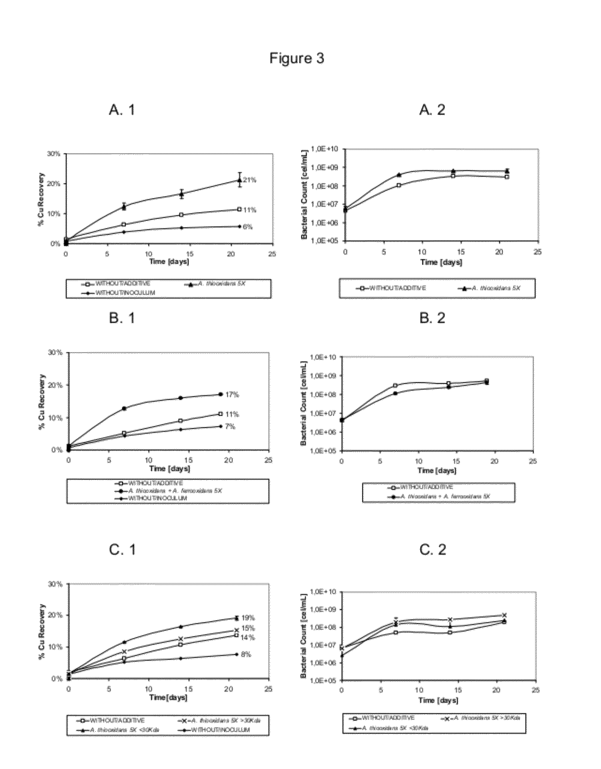 Additive for bioleaching that is substantially made up of the Licanantase lipoprotein, and bioleaching process to which this additive is added to increase the recovery of copper