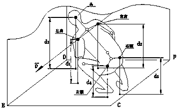 Automatic detection method of human fall based on kinect skeleton tracking