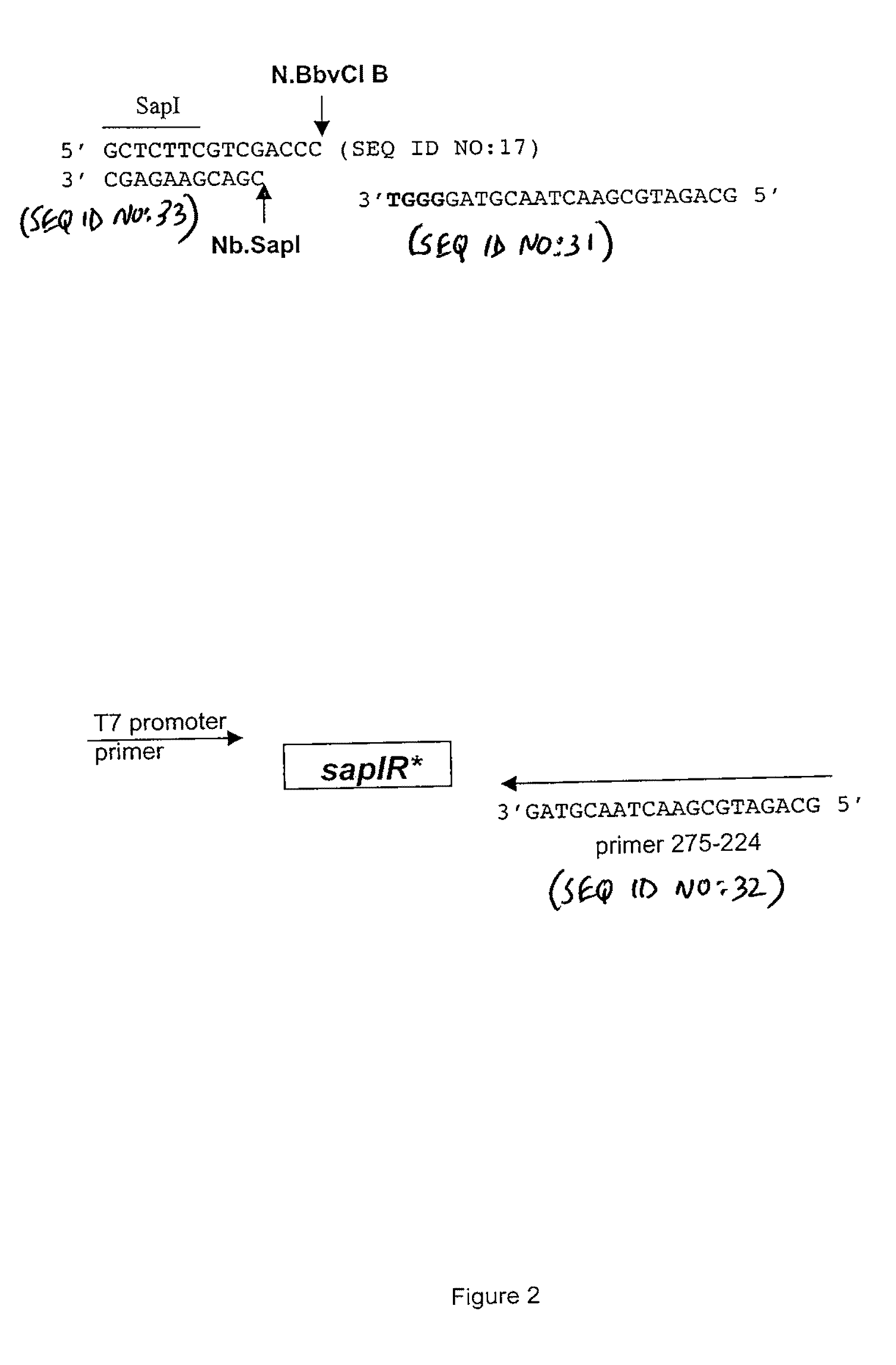 Method for engineering strand-specific nicking endonucleases from restriction endonucleases