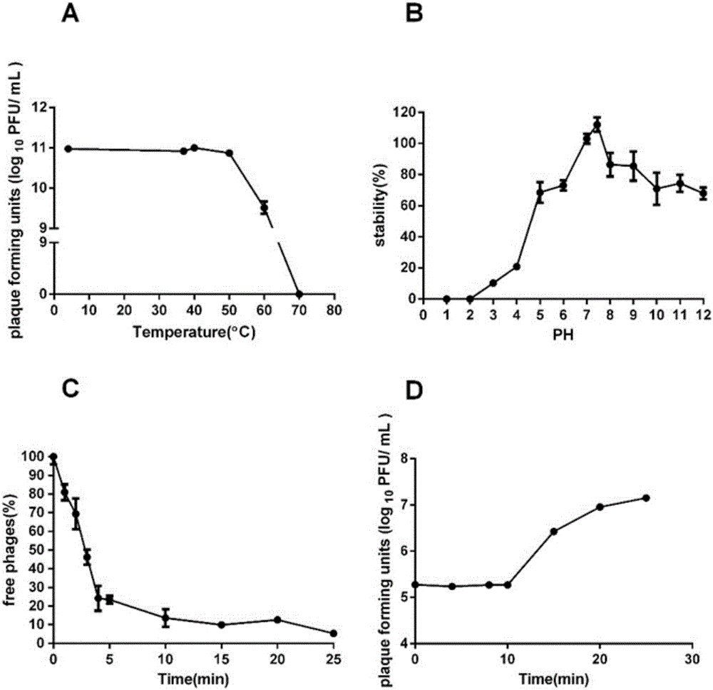 Acinetobacter baumannii bacteriophage SH-Ab15519 and application thereof