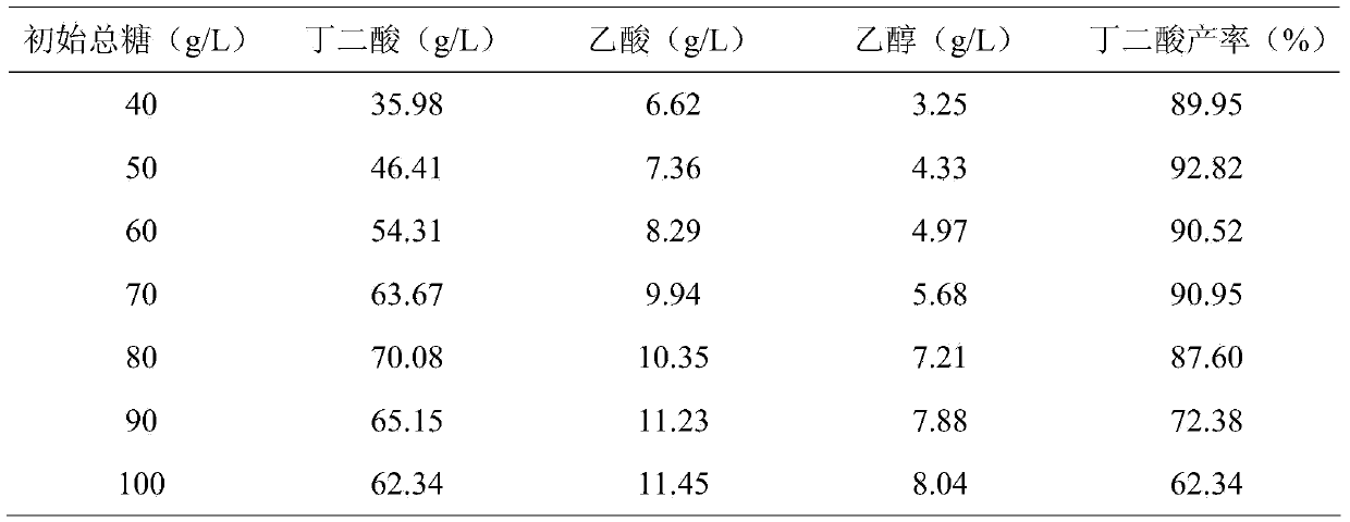 Method for producing succinic acid through fermentation of sugarcane juice