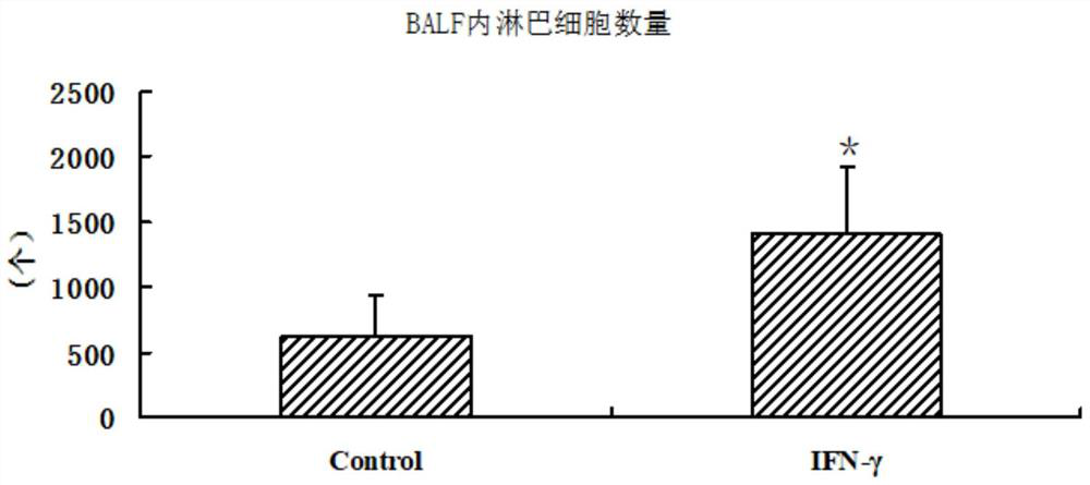 Application of CXC chemokine receptor 3 as cough drug target