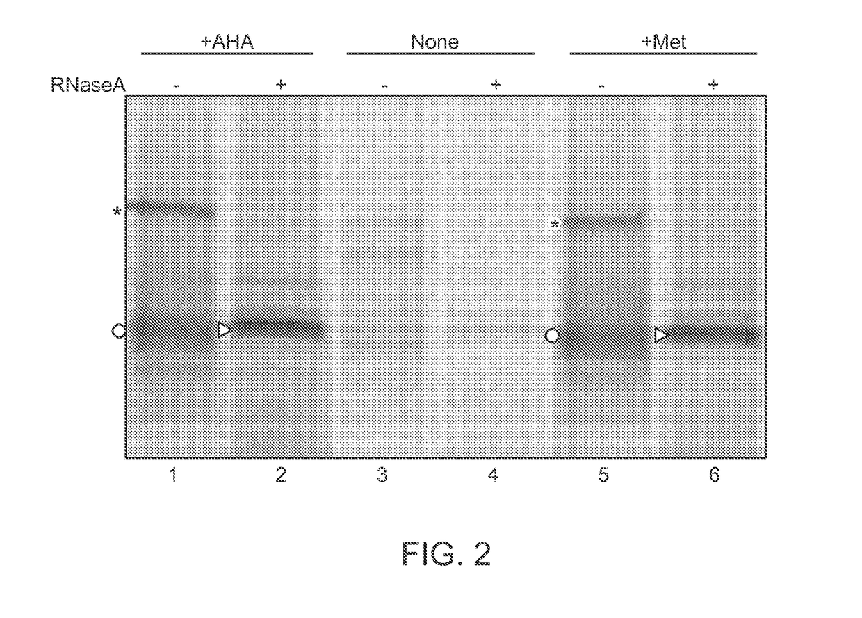 Single-Molecule Phenotype Analysis