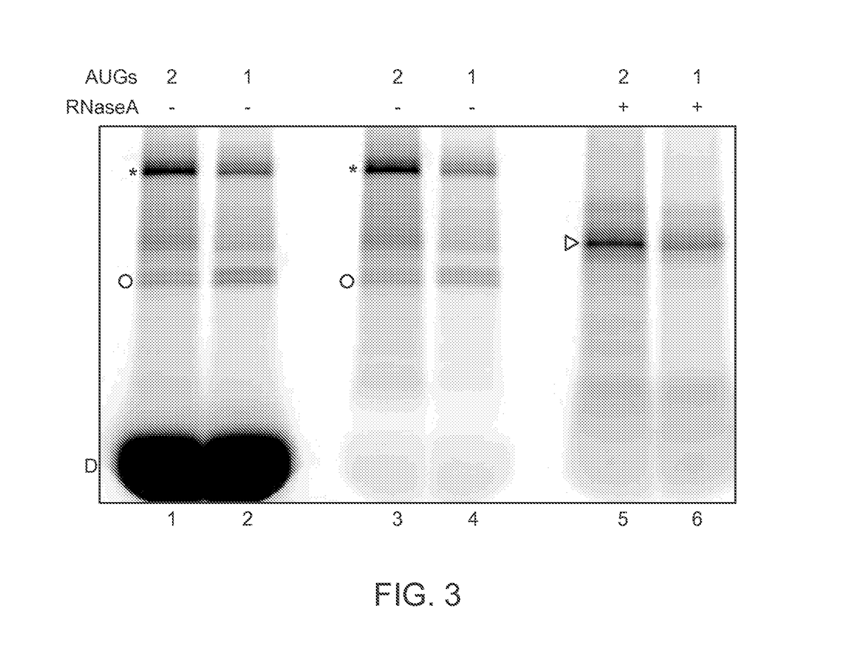 Single-Molecule Phenotype Analysis