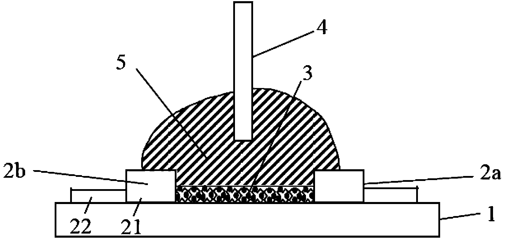 Biological sensor, manufacturing method and detection method thereof