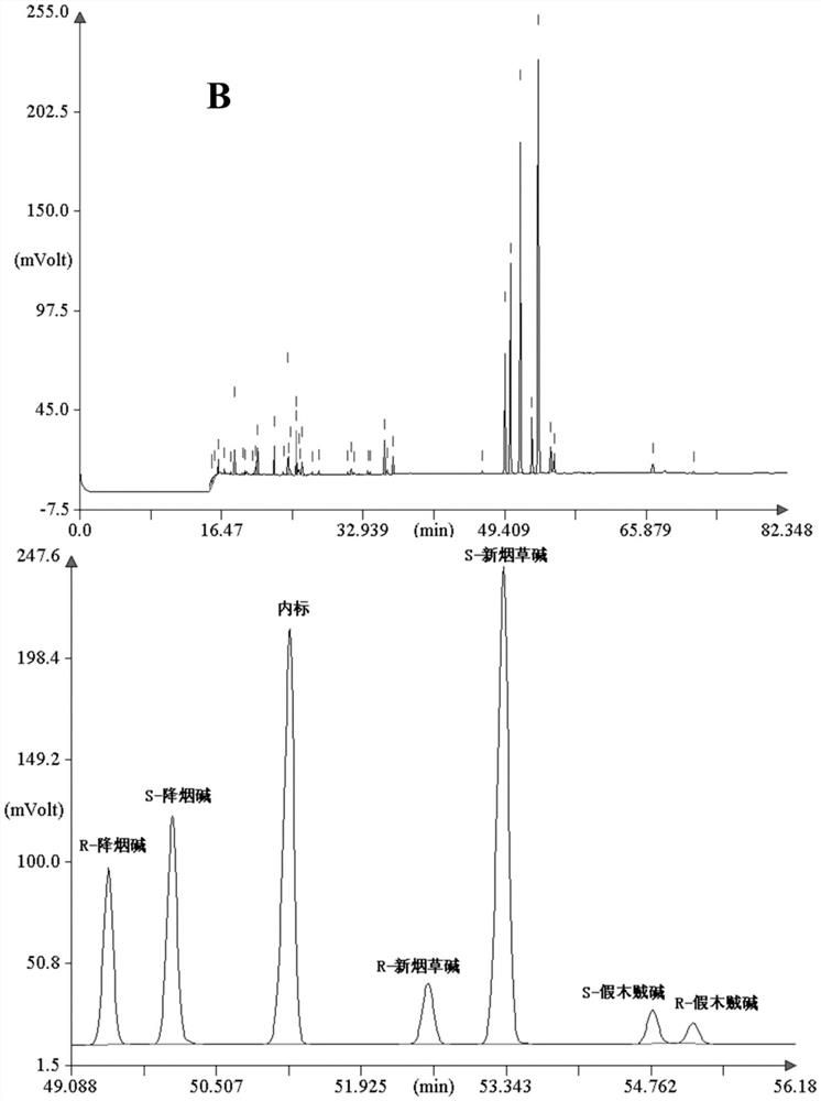 A chiral analysis method for nornicotine, pseudobasine and anatabine in tobacco and tobacco products