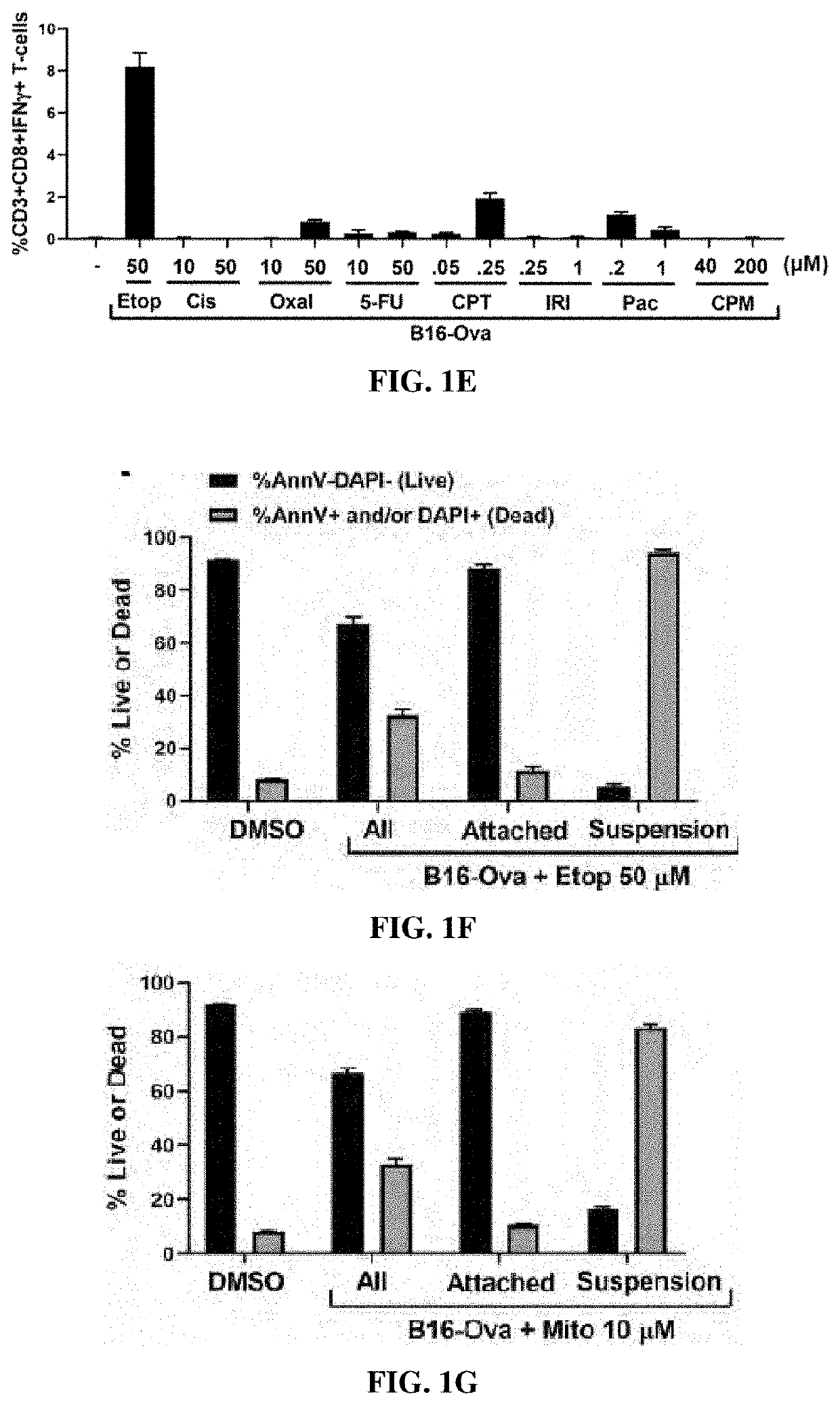 Cell-based cancer vaccines and cancer therapies