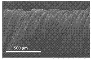 High-elasticity conductive fiber and preparation method thereof