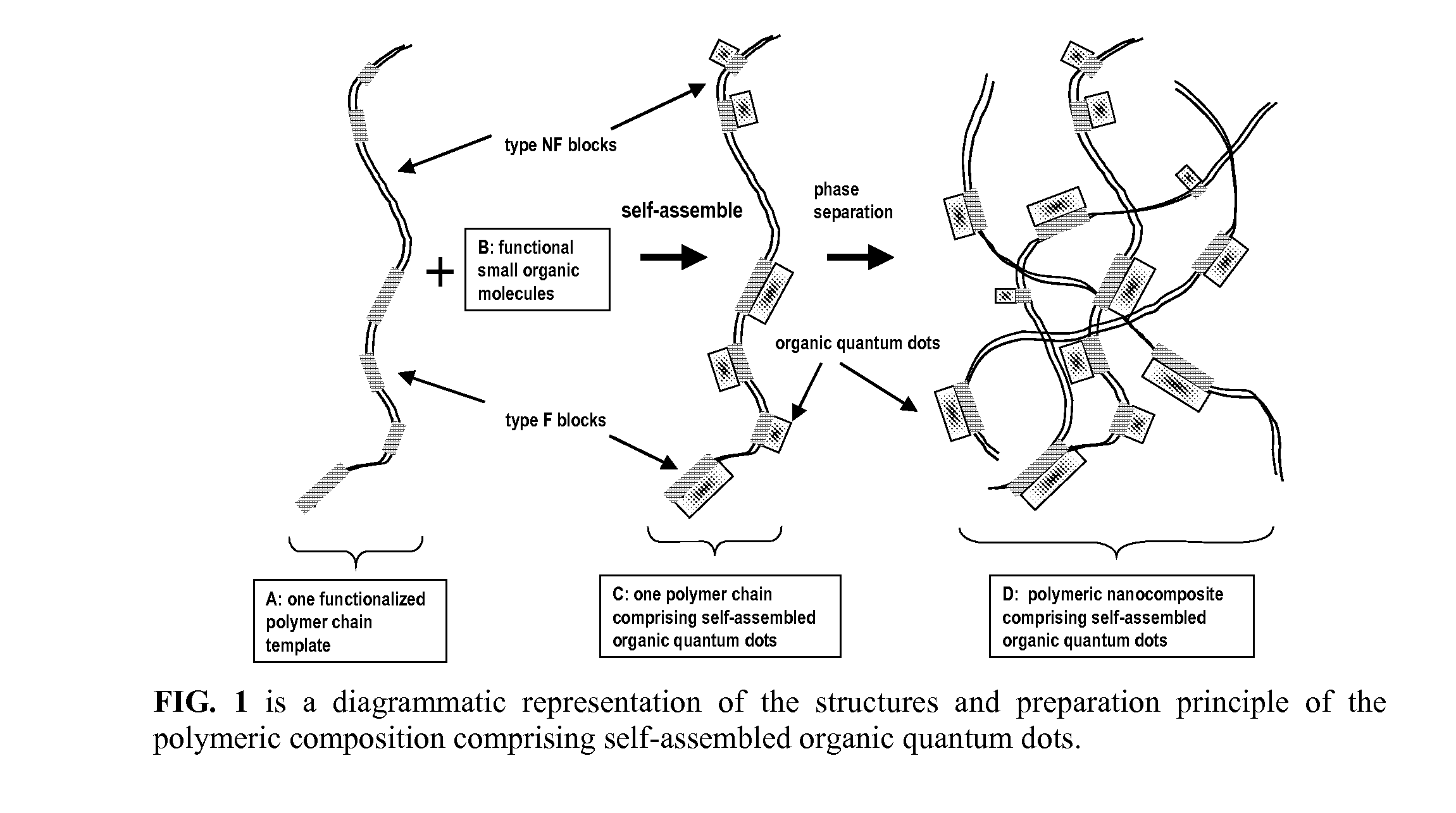 Polymeric nanocompositions comprising self-assembled organic quantum dots