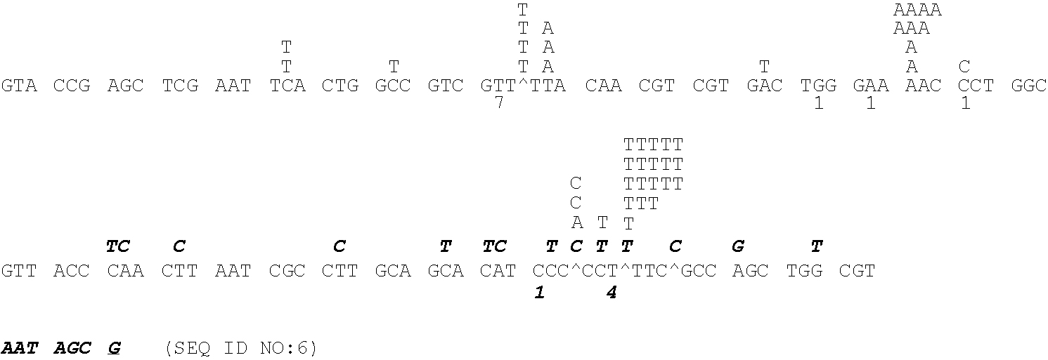 Thermostable reverse transcriptases and uses thereof