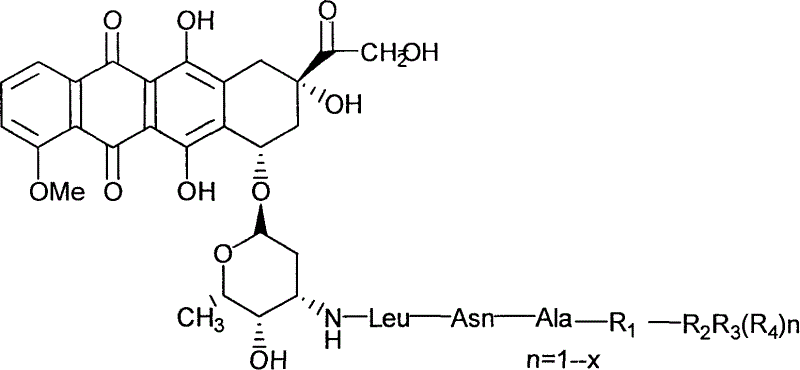 Adriamycin derivative and its preparing method and use