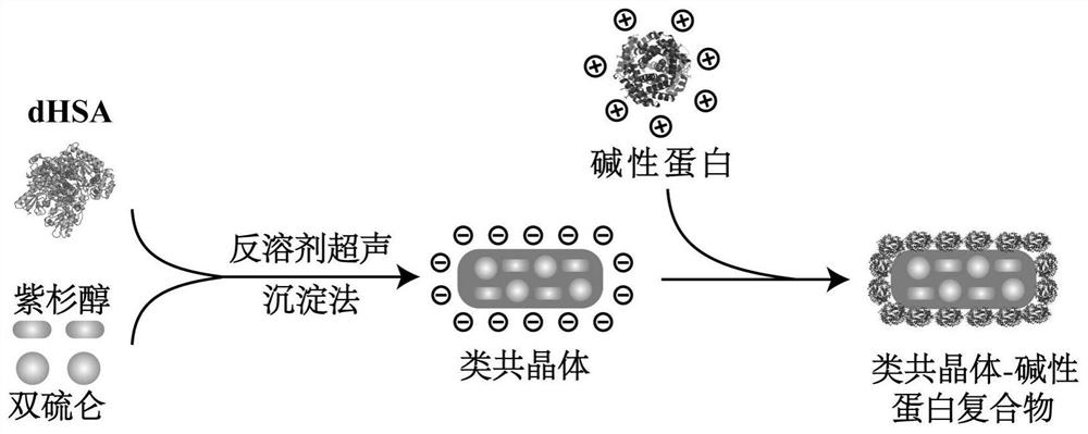 A kind of co-crystal-like drug compound of basic protein and its preparation method and application