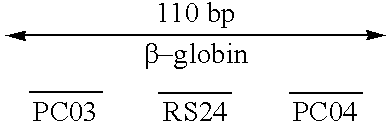 Kits for amplifying and detecting nucleic acid sequences