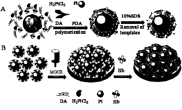 Construction and application of impedance type electrochemical sensor based on molecularly imprinted polymer with magnetic surface