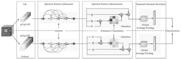 Hyperspectral image classification based on twin spectral attention consistency