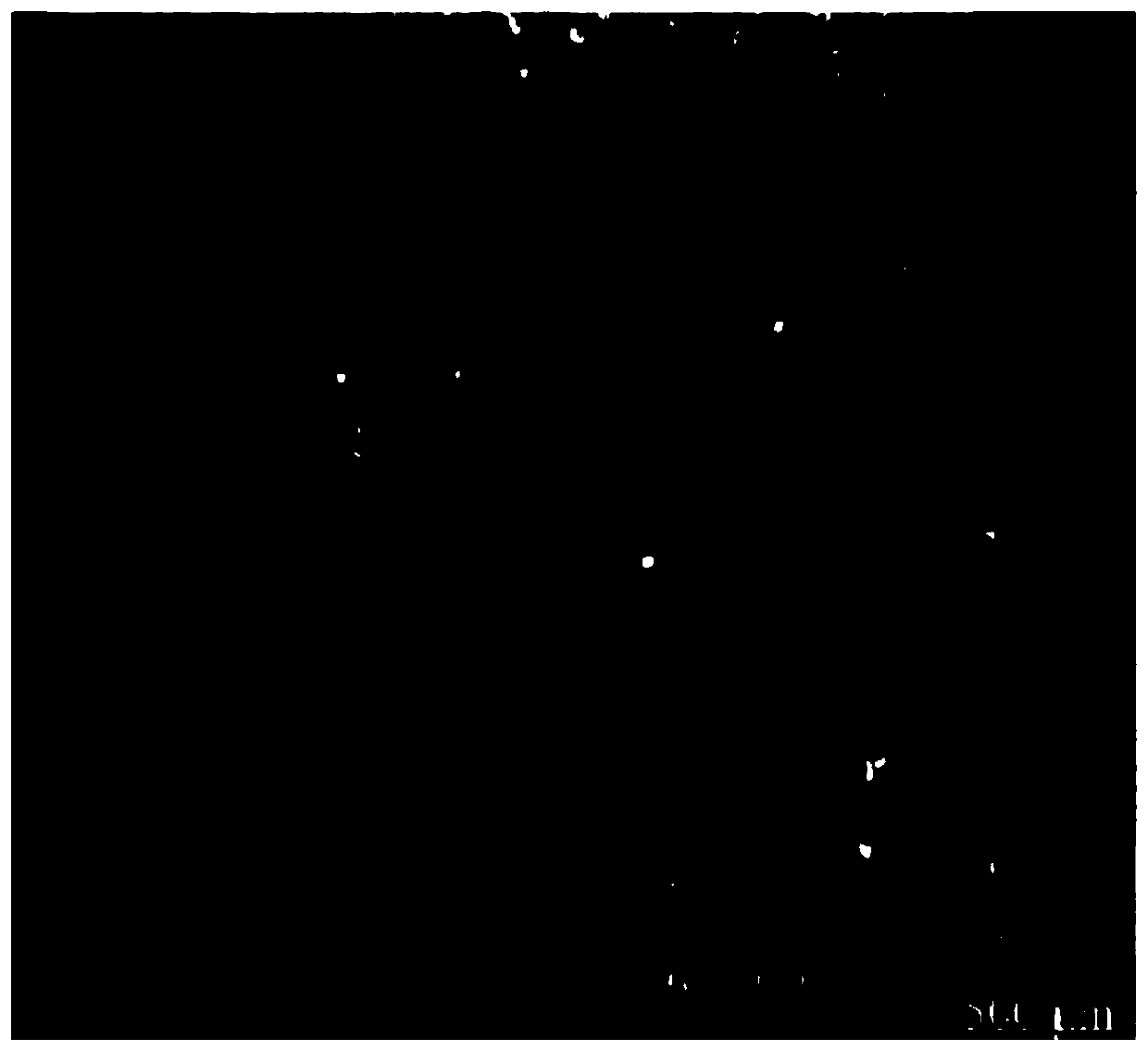 Process for preparing chloramphenicol adsorbent