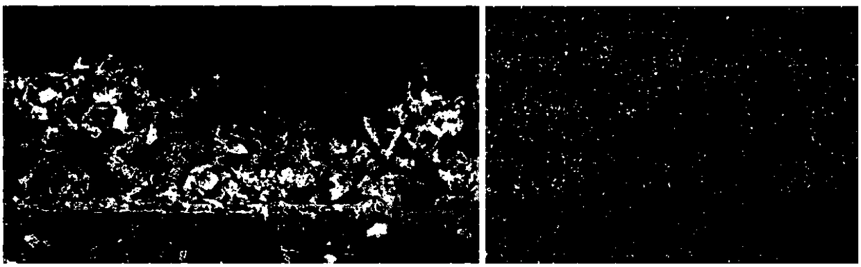 Pt modified Fe2O3 coated CuFeO2 photocathode and preparation method