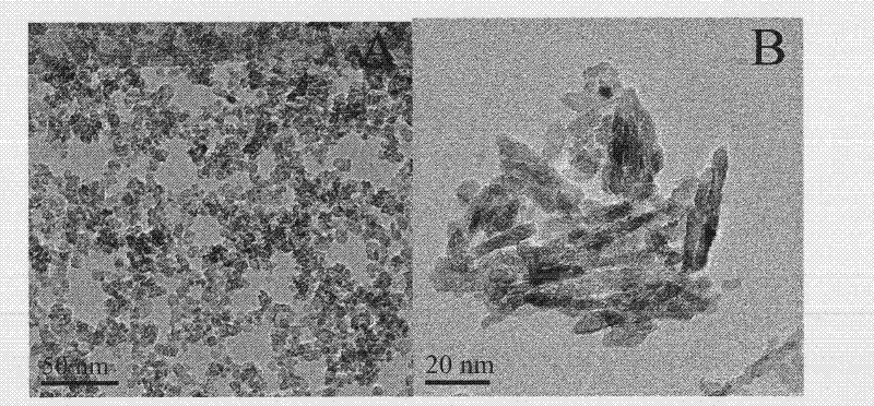 Preparation method of low-temperature non-aqueous sol-gel of high-activity carbon-chlorine codoped titanium dioxide visible light catalyst