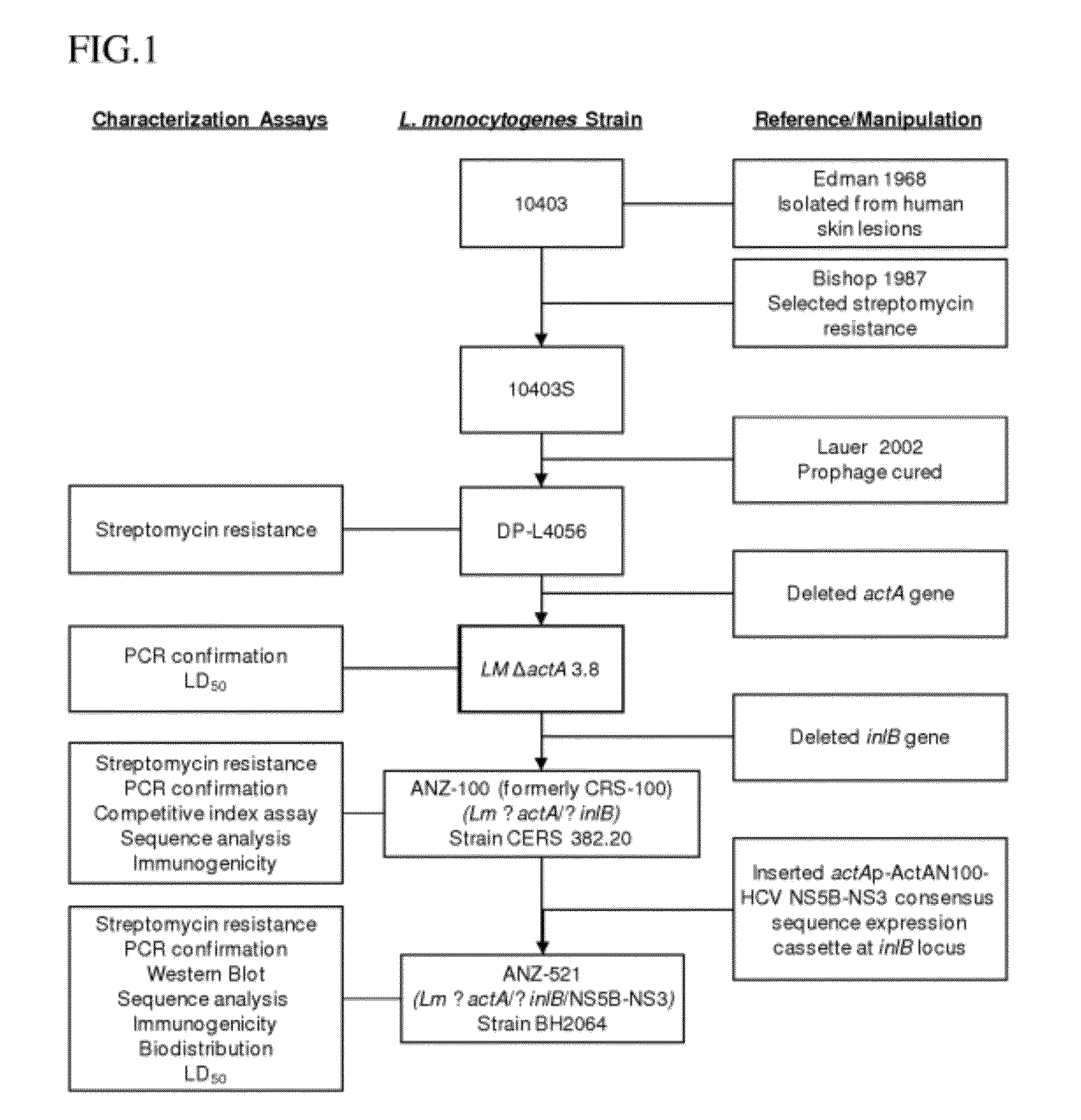 Compositions and methods for the treatment of hepatitis c