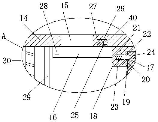 Quantitative flour packaging device