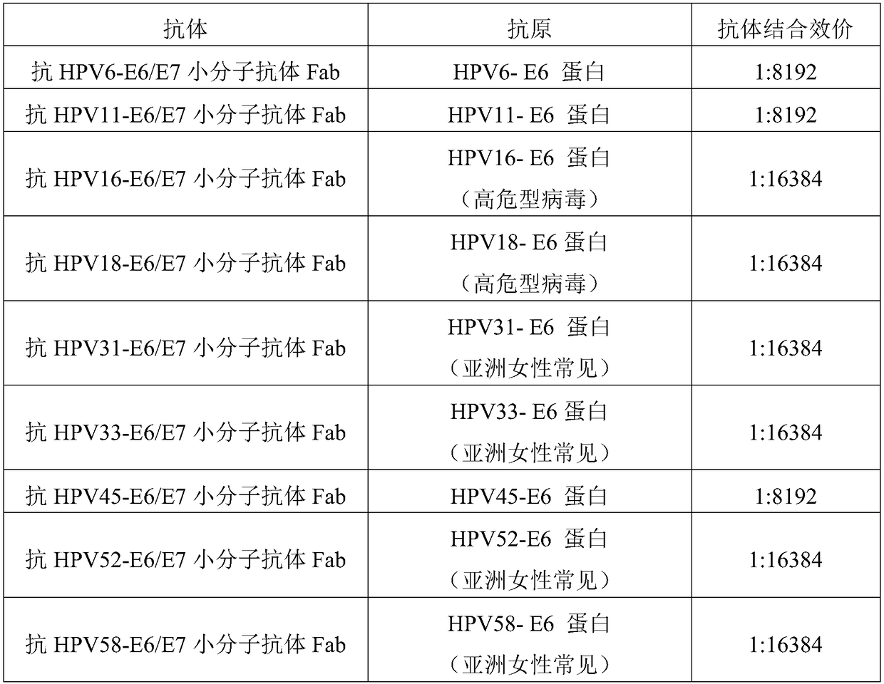 Anti-human papilloma virus small-molecular antibody as well as composition, preparation method and application thereof