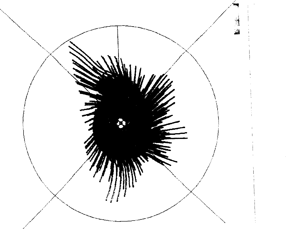 Central vortex column flash smelting process