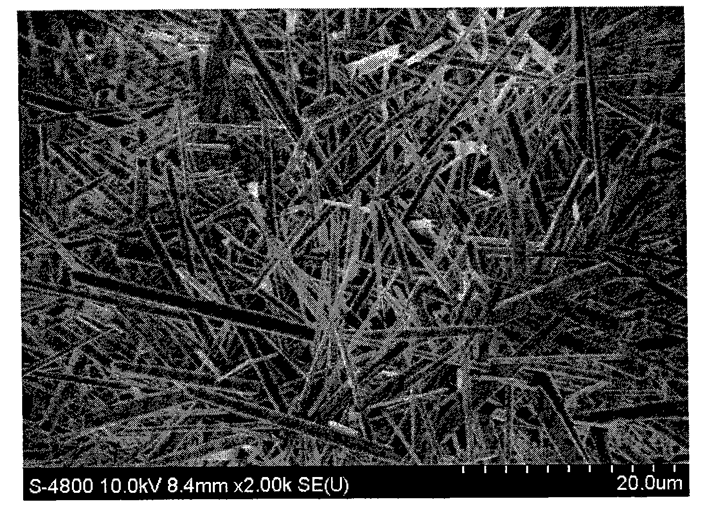 Method for preparing high-purity mullite monocrystal through kyanite concentrate at low temperature