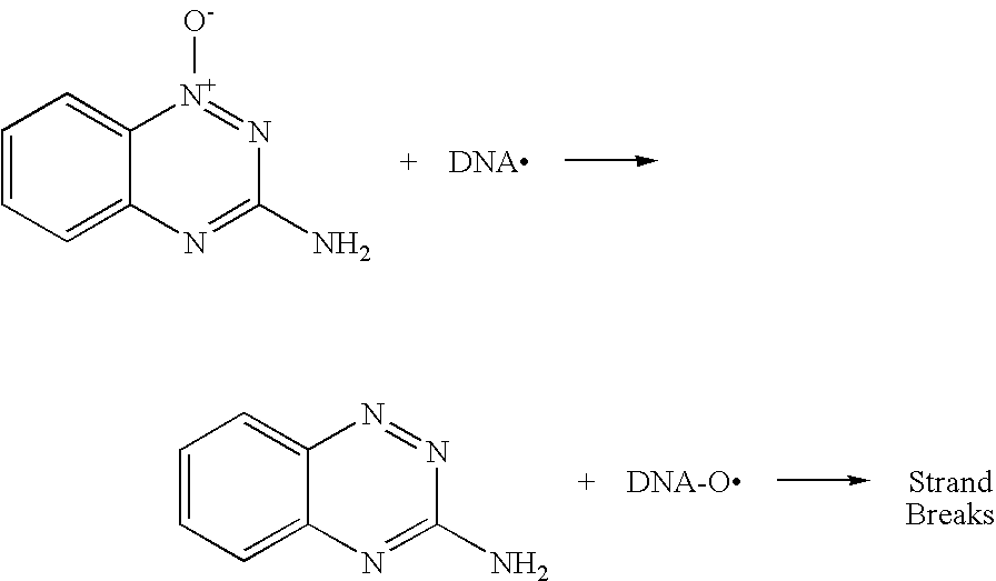 Heterocyclic Triazines as Hypoxic Selective Protein Kinase Inhibitors