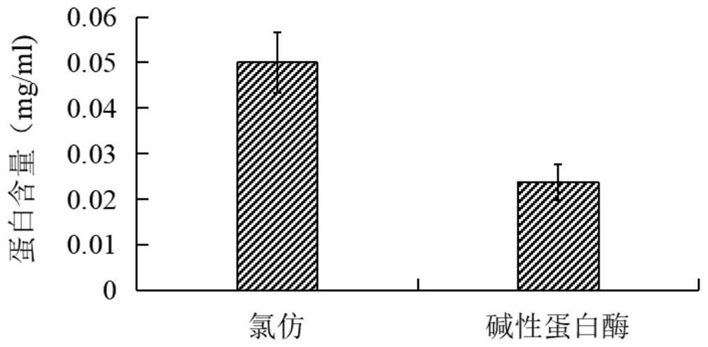 Method for extracting Morchella esculenta melanin through cellulase and ultrasonic wave synergism