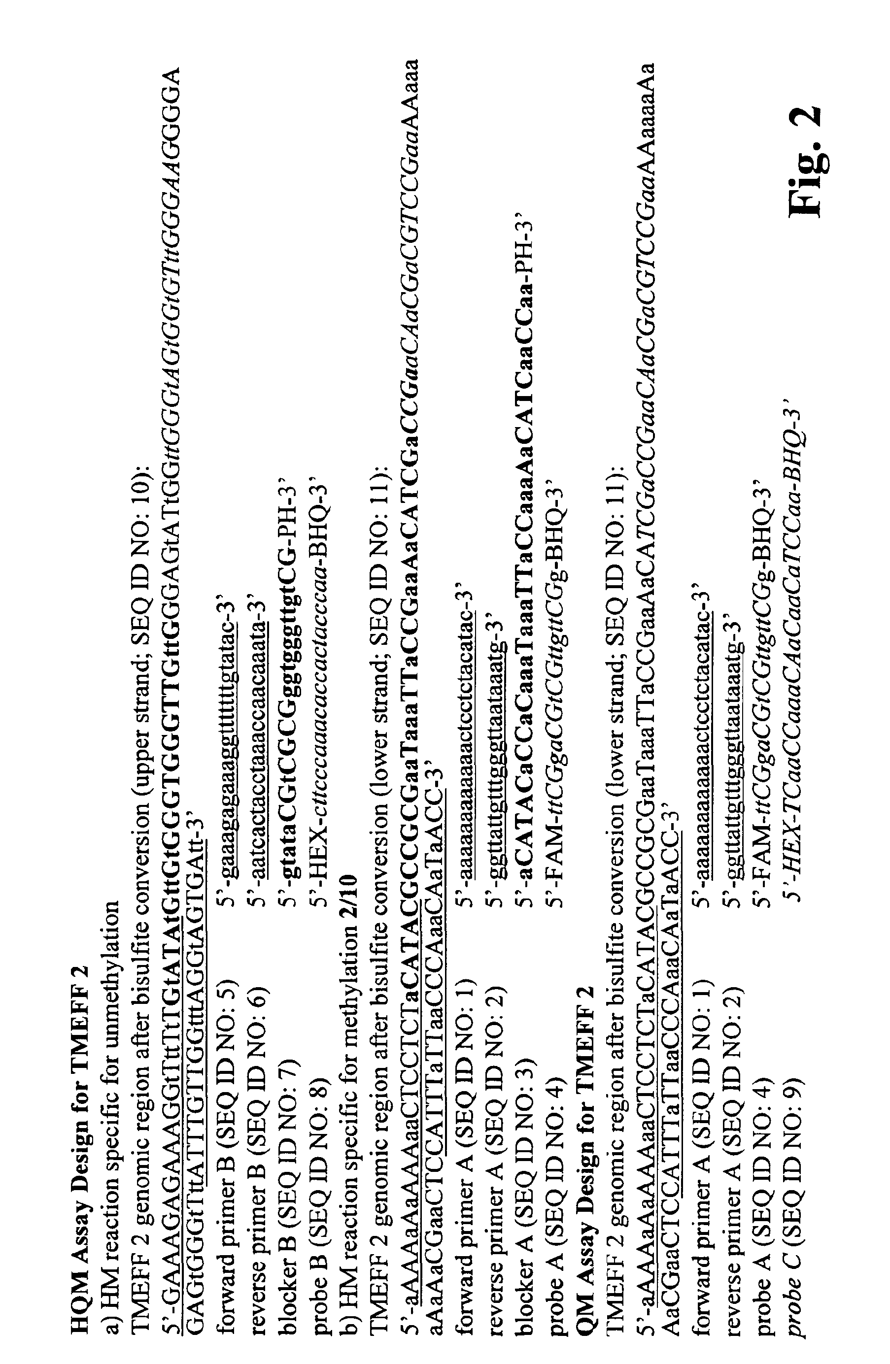 Method for methylation analysis of nucleic acid