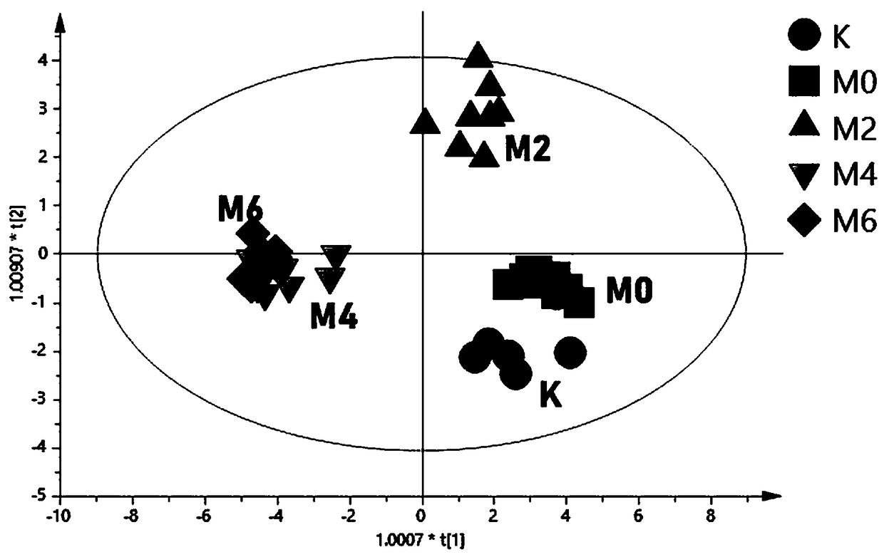 Model establishment and evaluation method for nephritic syndrome rats