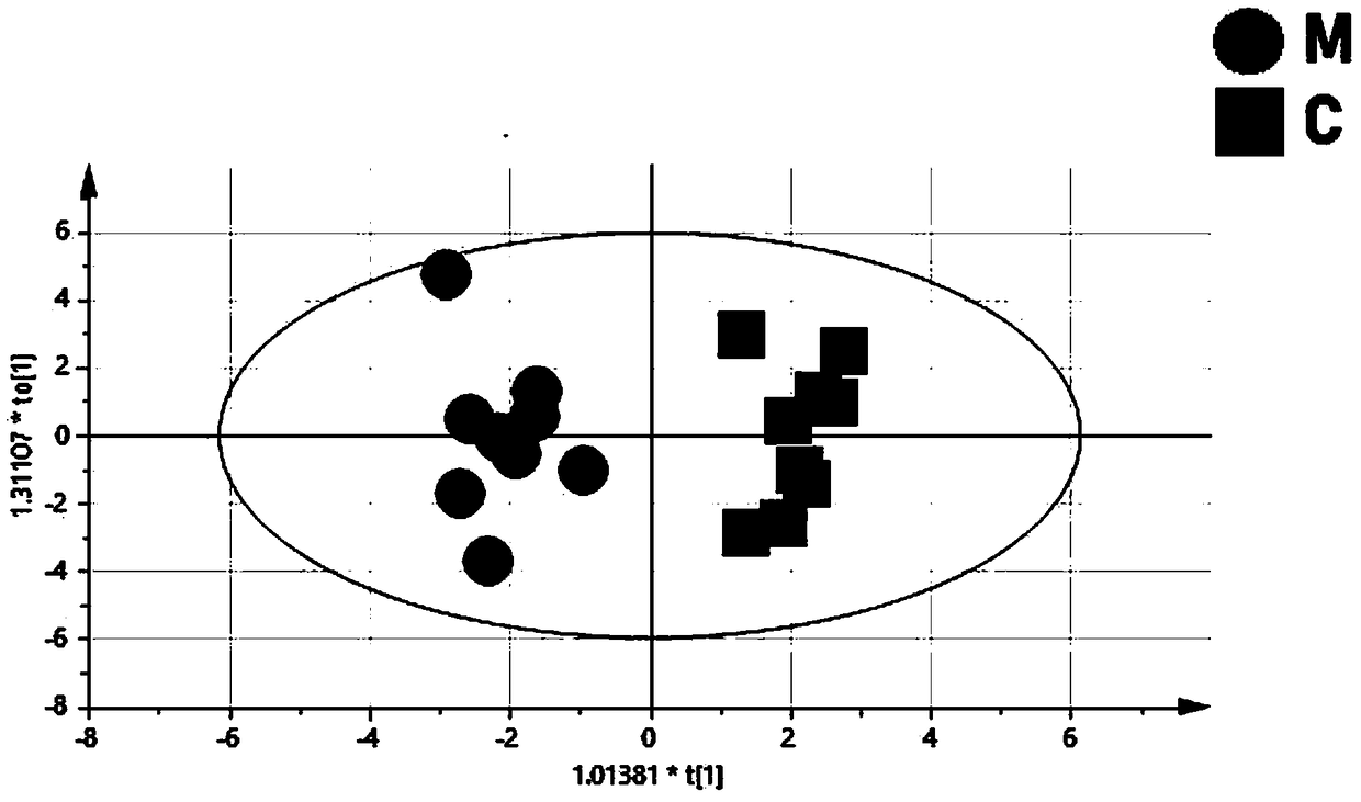 Model establishment and evaluation method for nephritic syndrome rats