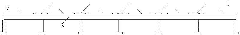 Anti-cracking steel-concrete combined continuous girder bridge of negative moment region