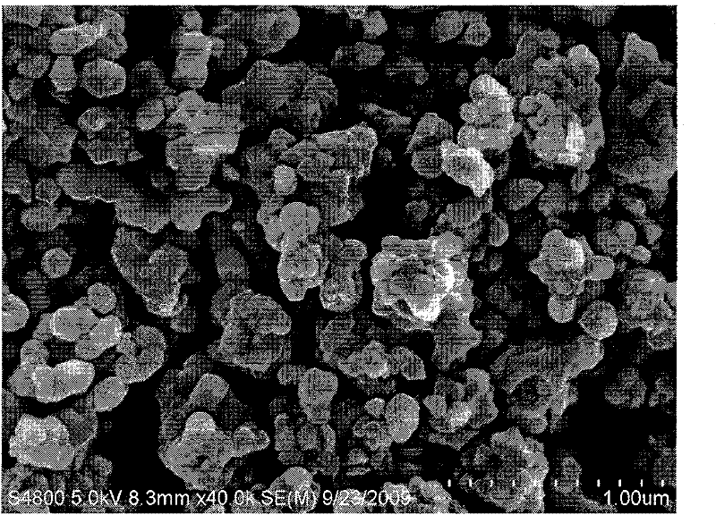 Method for preparing p-CoO/n-CdS compound semiconductor photocatalyst