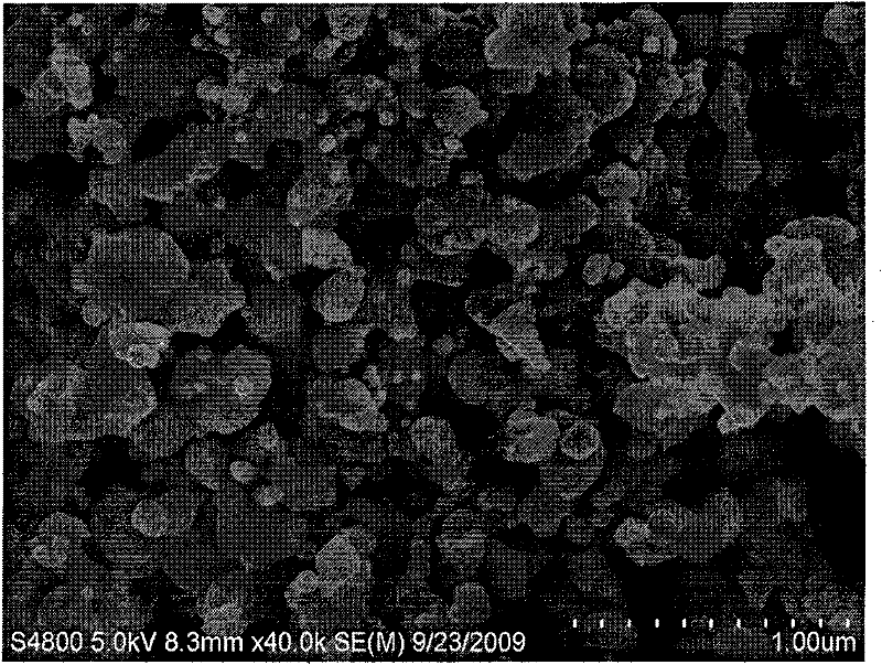 Method for preparing p-CoO/n-CdS compound semiconductor photocatalyst