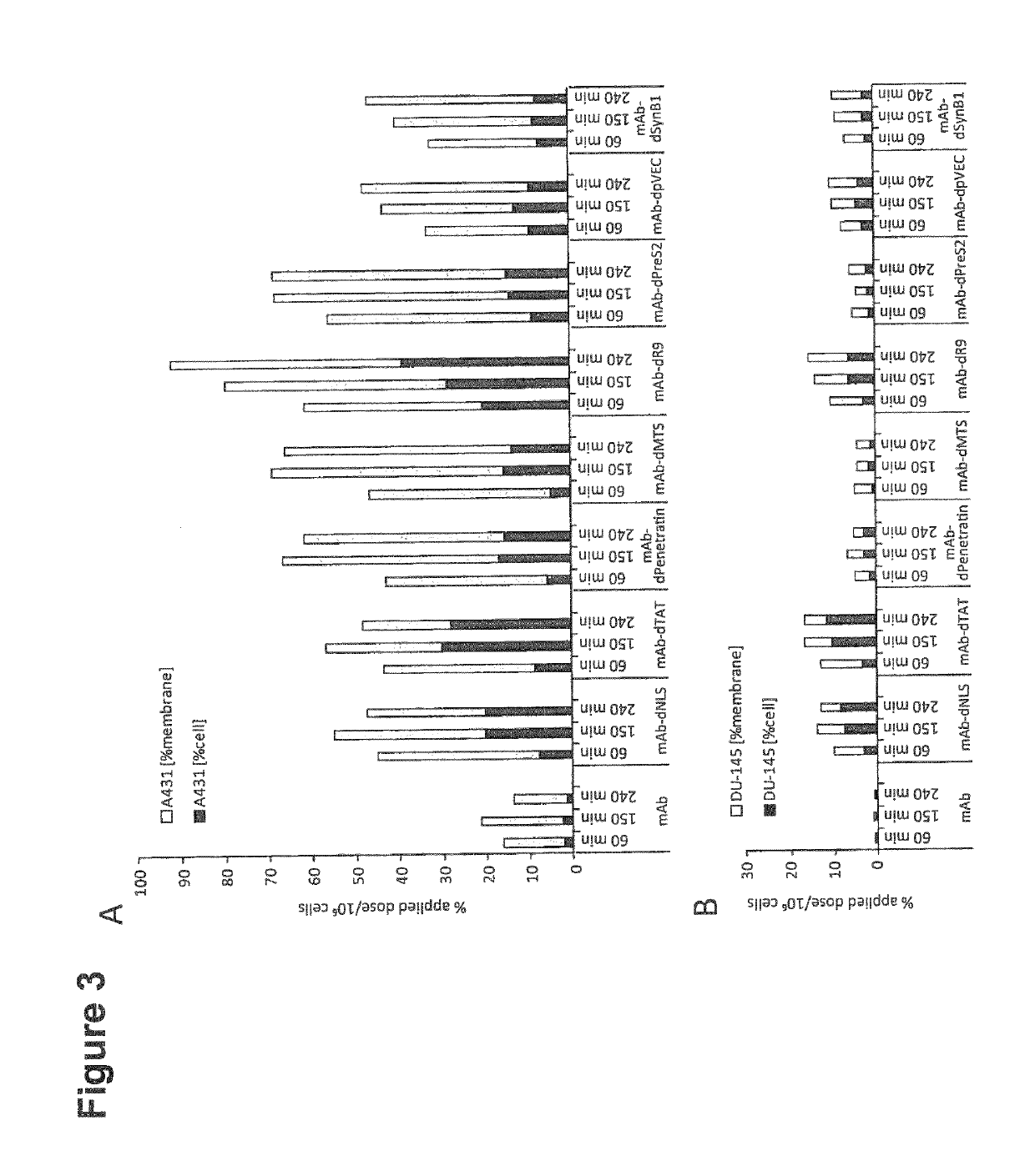 Conjugates of proteins and multivalent cell-penetrating peptides and their uses