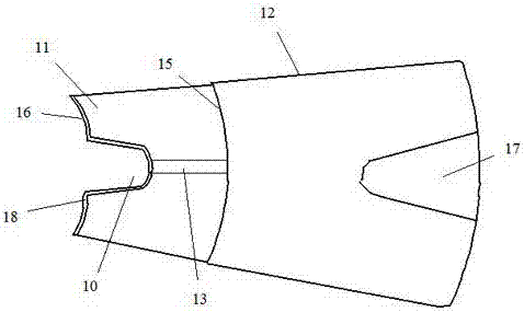 An anorectal inspection and drug delivery device