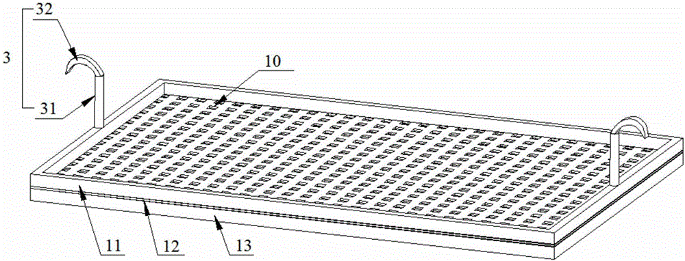 Seed germination or seedling hydroponic device