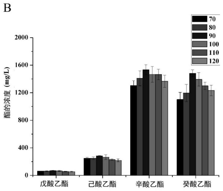 A culture method of Aspergillus niger and its application in catalytic synthesis of liquor flavor ester