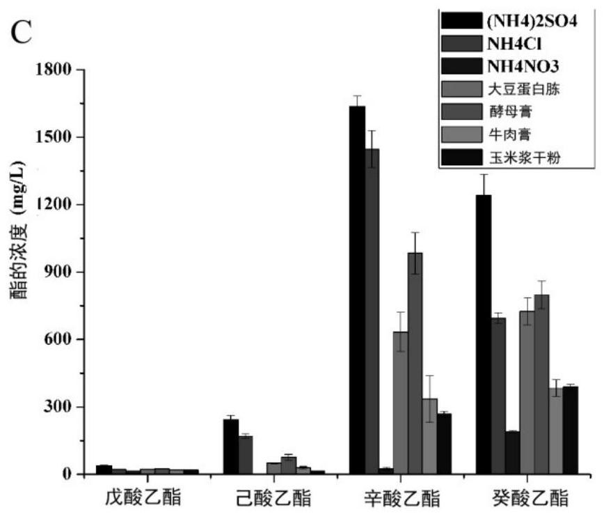 A culture method of Aspergillus niger and its application in catalytic synthesis of liquor flavor ester